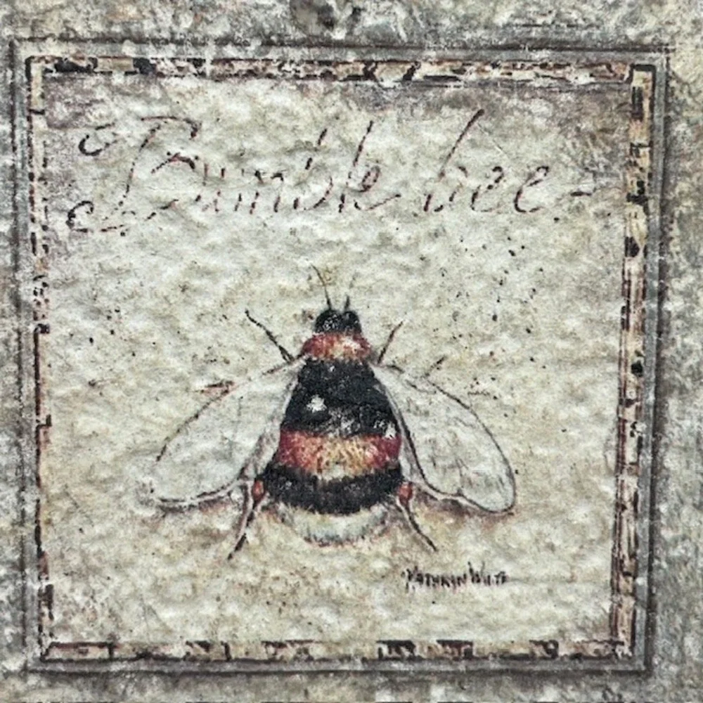 Dragonfly & Bumble Bee Ceramic Coasters Distressed Rustic Cork Backing Set‎ of 2